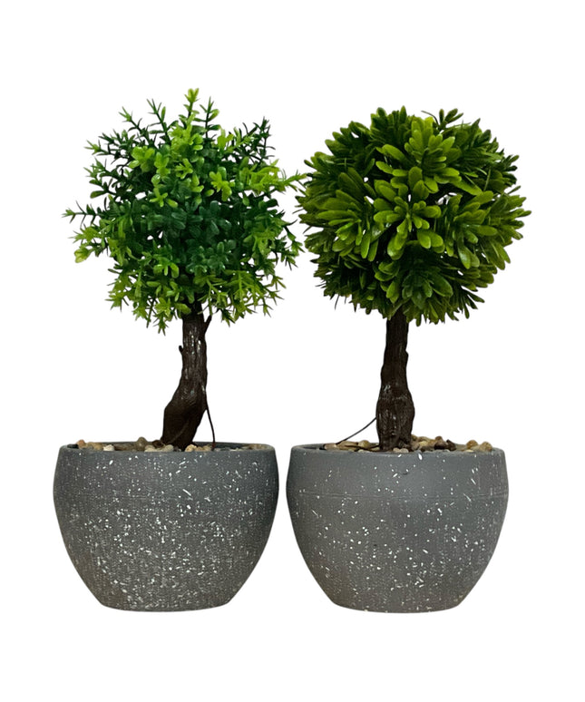 Ghiveci Bonsai decorativ 2/set 20cm