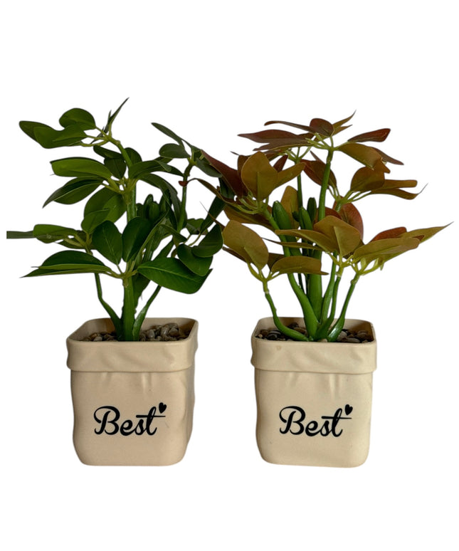Ghiveci Plante verzi Best 25cm 801-10