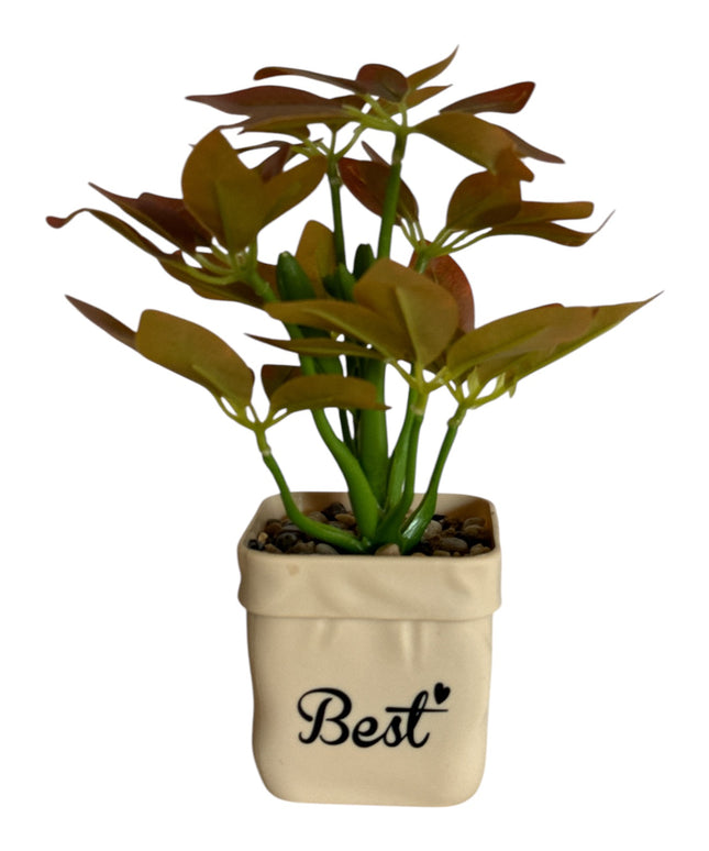 Ghiveci Plante verzi Best 25cm 801-10