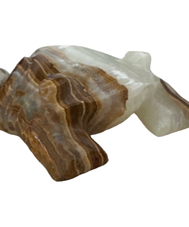 Broscuță din Onix 8cm