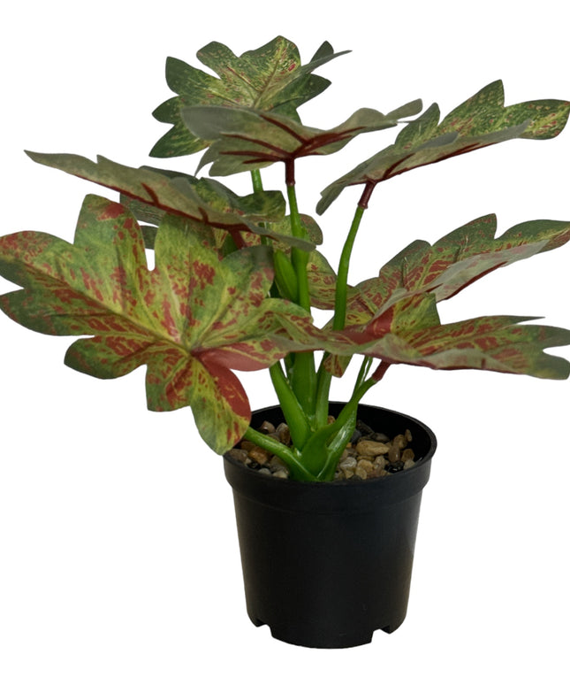 Ghiveci ornamental cu frunze 29cm