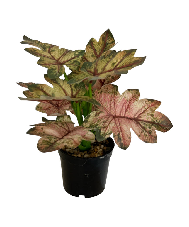 Ghiveci ornamental cu frunze 29cm