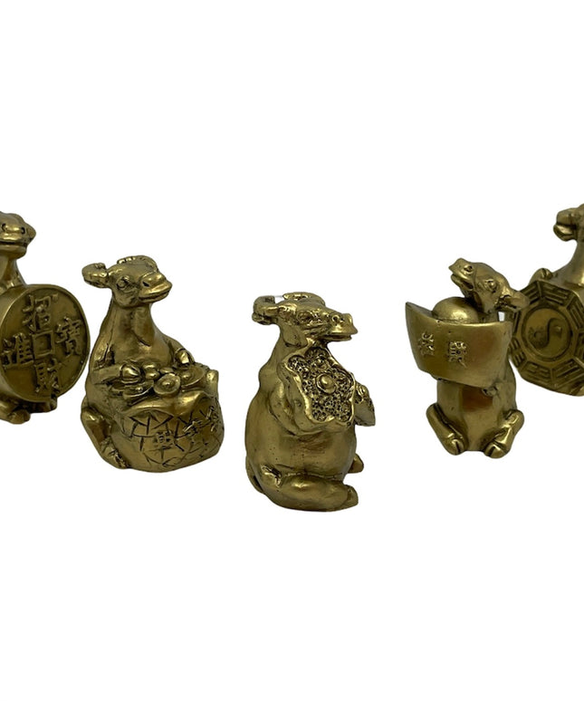 Bivol pe bani 5/set 5cm