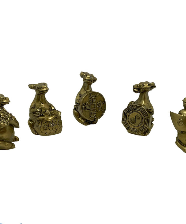 Bivol pe bani 5/set 5cm