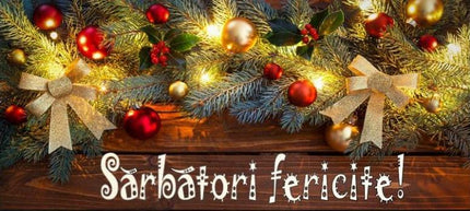 Halbă-termos “Sărbători fericite !“ 400ml