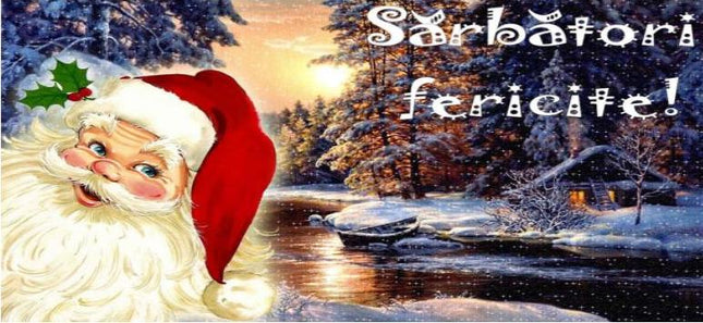 Halbă-termos “Sărbători fericite !“ 400ml