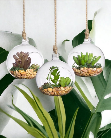 Bol sticlă terariu rotund 8cm