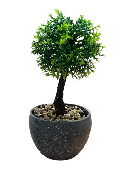 Ghiveci Bonsai decorativ 2/set 20cm