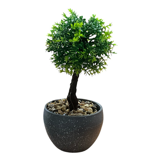 Ghiveci Bonsai decorativ 2/set 20cm