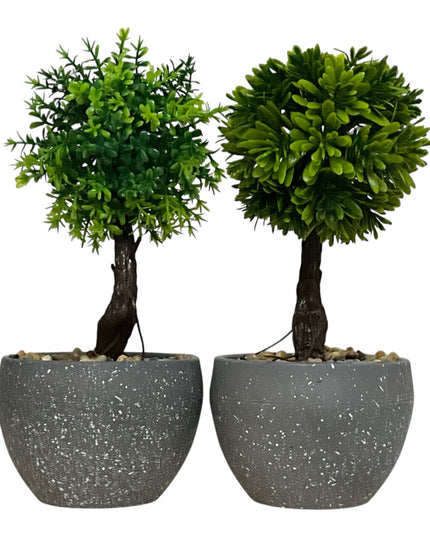 Ghiveci Bonsai decorativ 2/set 20cm