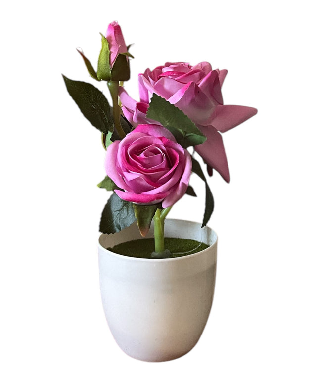 Ghiveci Trandafir  25cm