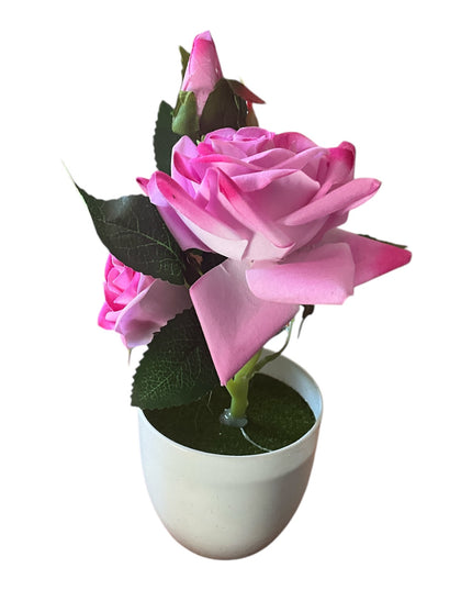 Ghiveci Trandafir  25cm