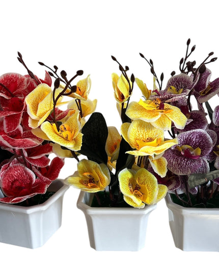 Ghiveci ornamental Orhidee 5 capete 30cm cod092-4