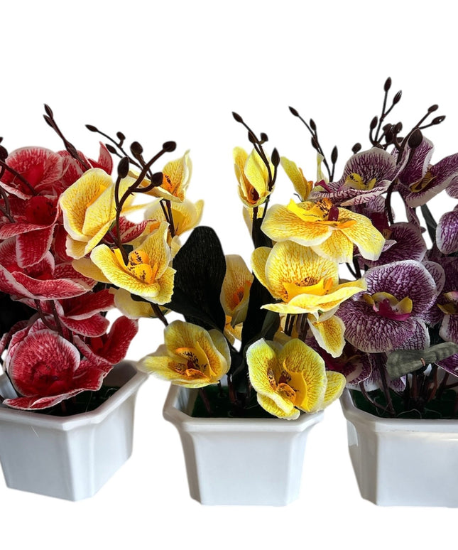 Ghiveci ornamental Orhidee 5 capete 30cm cod092-4