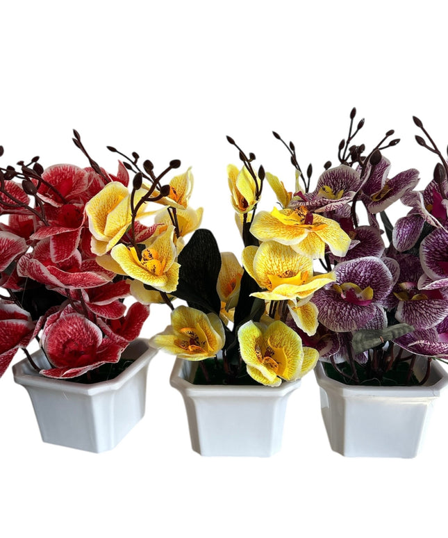 Ghiveci ornamental Orhidee 5 capete 30cm cod092-4