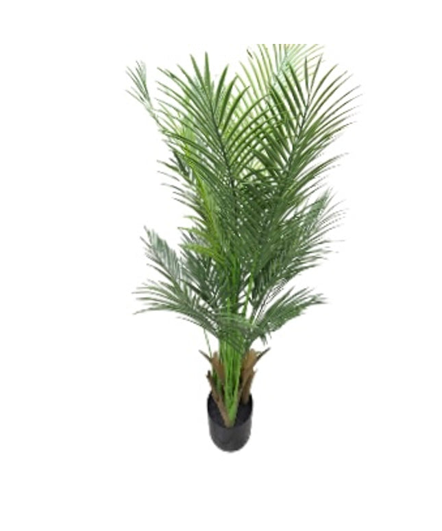 Ghiveci Palmier ornamental 120cm