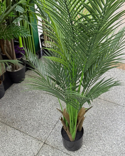 Ghiveci Palmier ornamental 120cm
