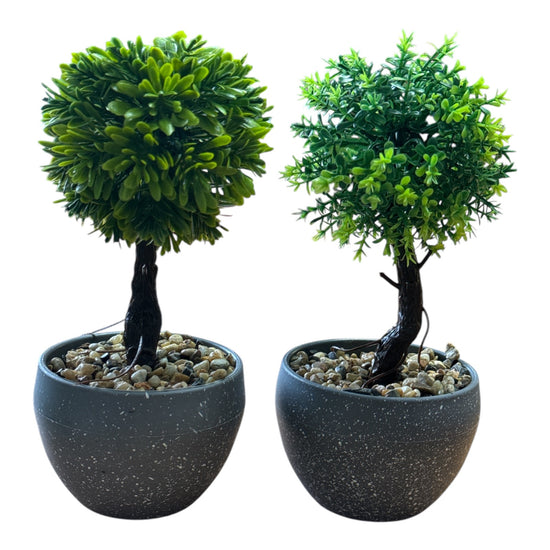 Ghiveci Bonsai decorativ 2/set 20cm