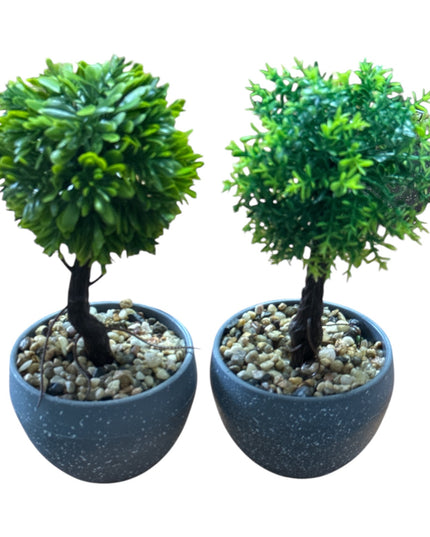Ghiveci Bonsai decorativ 2/set 20cm