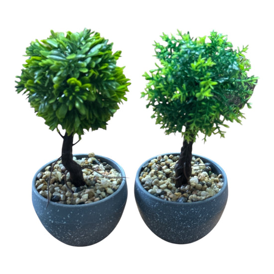 Ghiveci Bonsai decorativ 2/set 20cm