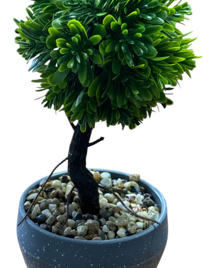 Ghiveci Bonsai decorativ 2/set 20cm