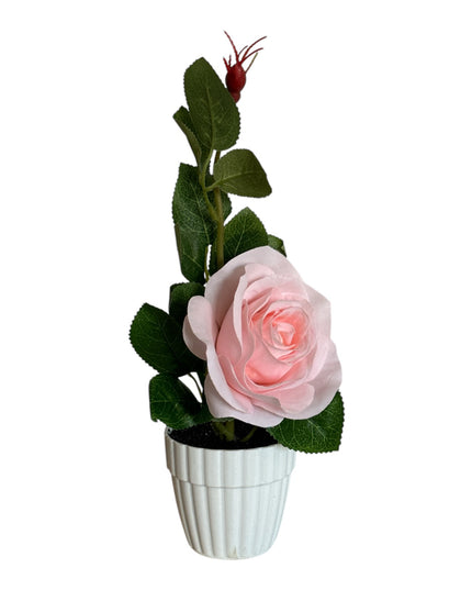 Ghiveci cu Trandafir 25cm