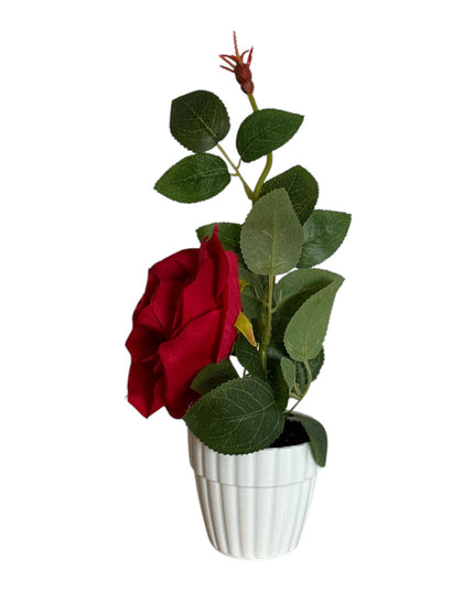 Ghiveci cu Trandafir 25cm