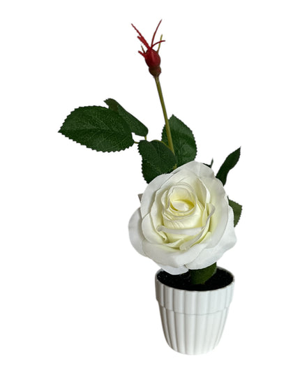 Ghiveci cu Trandafir 25cm