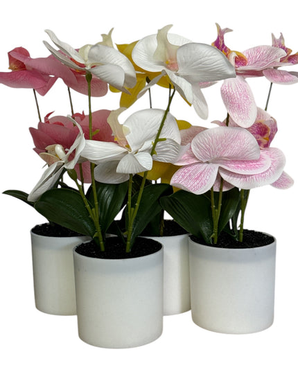 Ghiveci ornamental Orhidee 28cm