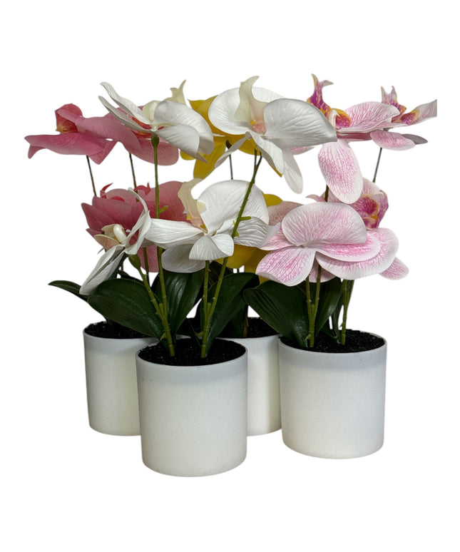 Ghiveci ornamental Orhidee 28cm