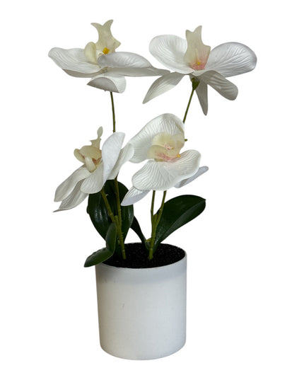 Ghiveci ornamental Orhidee 28cm