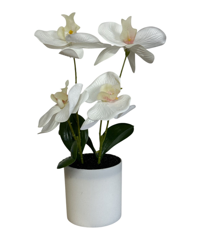 Ghiveci ornamental Orhidee 28cm