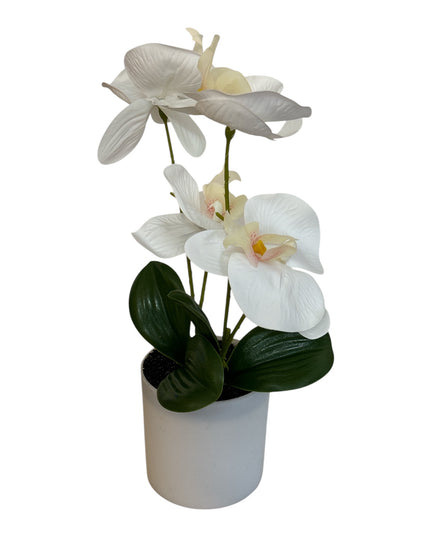 Ghiveci ornamental Orhidee 28cm