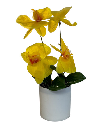 Ghiveci ornamental Orhidee 28cm