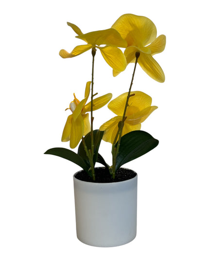 Ghiveci ornamental Orhidee 28cm