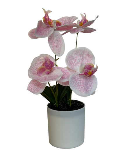 Ghiveci ornamental Orhidee 28cm