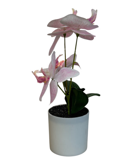 Ghiveci ornamental Orhidee 28cm