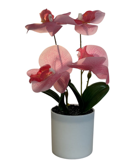 Ghiveci ornamental Orhidee 28cm