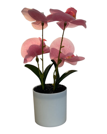 Ghiveci ornamental Orhidee 28cm