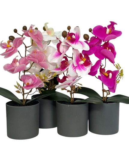 Ghiveci ornamental Orhidee 27cm