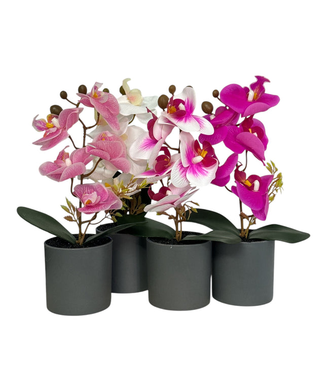 Ghiveci ornamental Orhidee 27cm