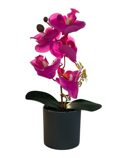 Ghiveci ornamental Orhidee 27cm