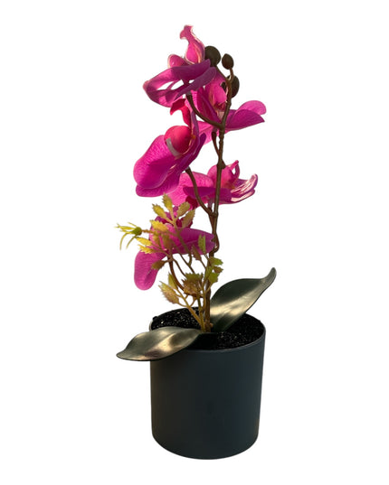 Ghiveci ornamental Orhidee 27cm