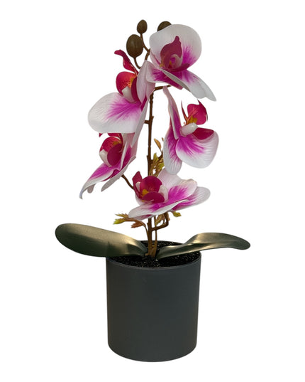 Ghiveci ornamental Orhidee 27cm