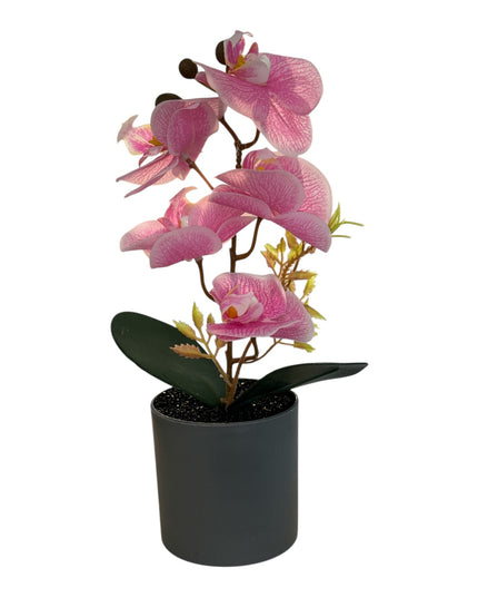 Ghiveci ornamental Orhidee 27cm