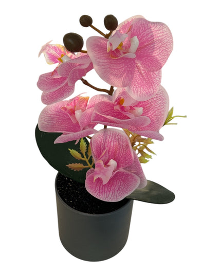 Ghiveci ornamental Orhidee 27cm