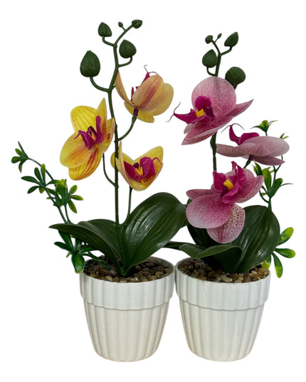 Ghiveci Orhidee color 25cm
