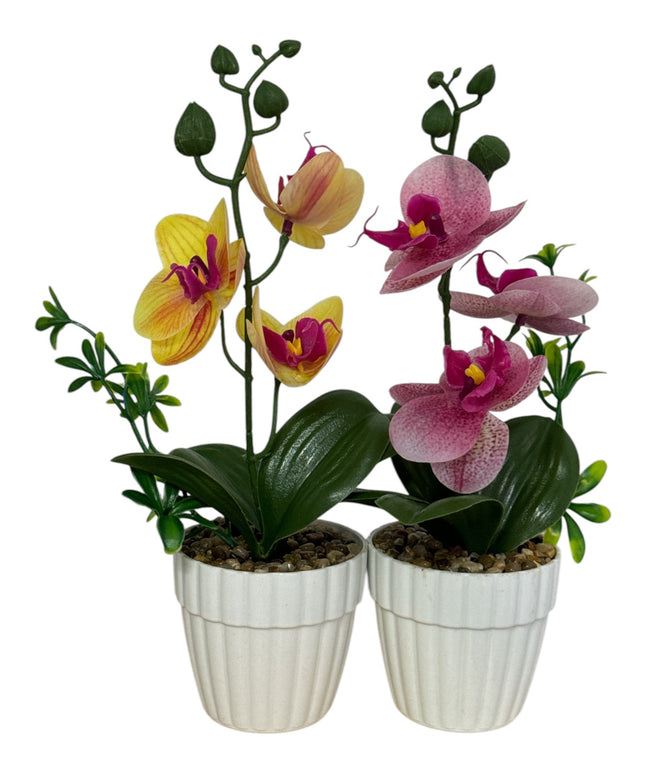 Ghiveci Orhidee color 25cm