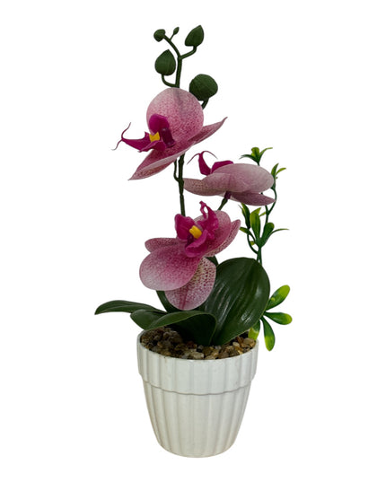 Ghiveci Orhidee color 25cm