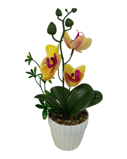 Ghiveci Orhidee color 25cm